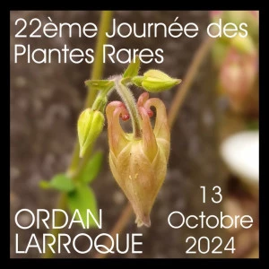 Affiche 22ème Journée des Plantes Rares