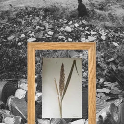 Paysage"s" d'une nature qui s'efface - Les nombreuses crises environnementales de ces dernières décennies ont contribué à une prise de conscience sur la fragilité des écosystèmes, mais n'a pas encore véritablement conduit à un changement des modes de vie. Et nous continuons à nous préoccuper à peu près exclusivement de notre univers de réalité immédiate. -