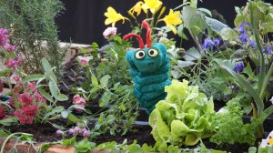 Affiche Cie Amarante "Chenille mon amour"