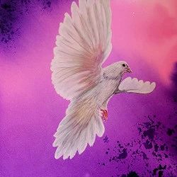 ESPOIR - VOL D UNE COLOMBE - PASTEL ET ENCRE SUR PAPIER - 100 EUROS 