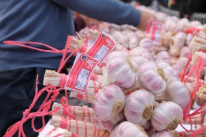 Affiche La Fête de l'Ail Rose de Lautrec