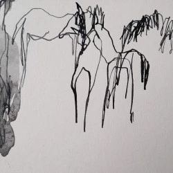 Corine Pagny - Les chevaux au paddock - Corine Pagny 