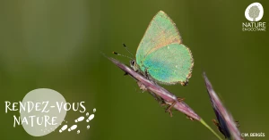 Affiche 14/06 - Au cœur de la Montagne de Rie