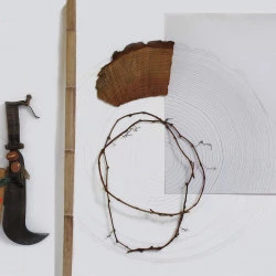 Diary Vence 2018 - 100x150cm, dessin crayon graphite sur le mur et papier, bois Douglas, sarment de vigne, bambou, serpette cuir et métal - © Anne Deguelle 