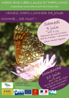 Affiche Week-end libellules et papillons 