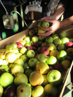 Affiche Croque ton jus