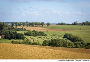 La Foncière Agricole d'Occitanie facilitera l'installation des agriculteurs pour préserver des campagnes vivantes.