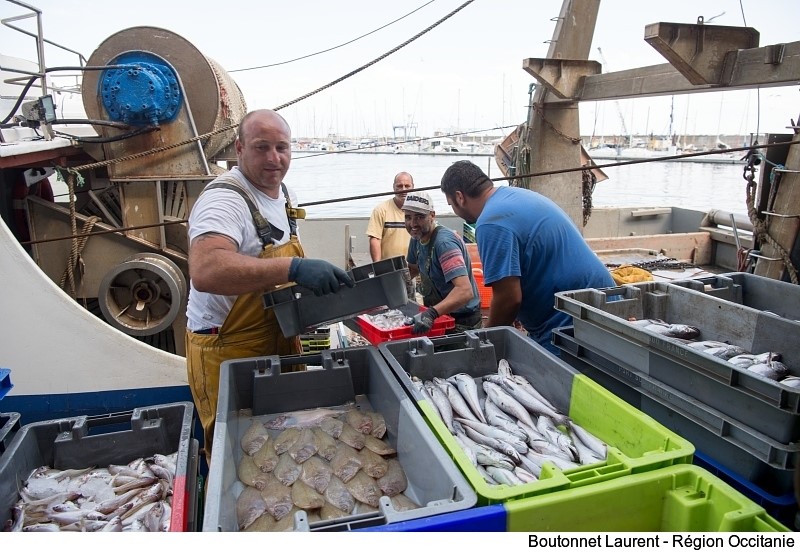 Avec plus de 4 000 emplois, la pêche et la conchyliculture occupent une place importante dans l'économie du littoral