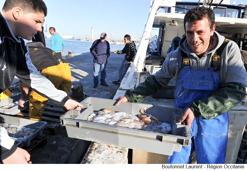 Les pêcheurs de Méditerranée exploitent près de 80 espèces