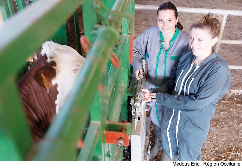 En Occitanie, 68 établissements d'enseignement agricole forment aux métiers de l'agriculture