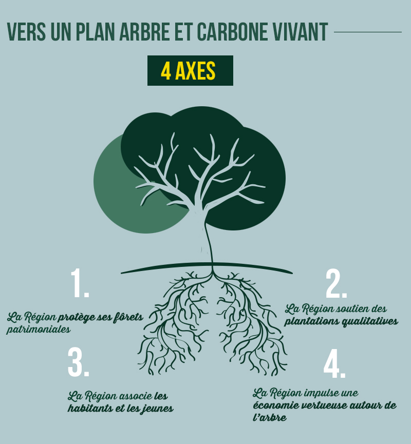 4 axes - Plan arbre